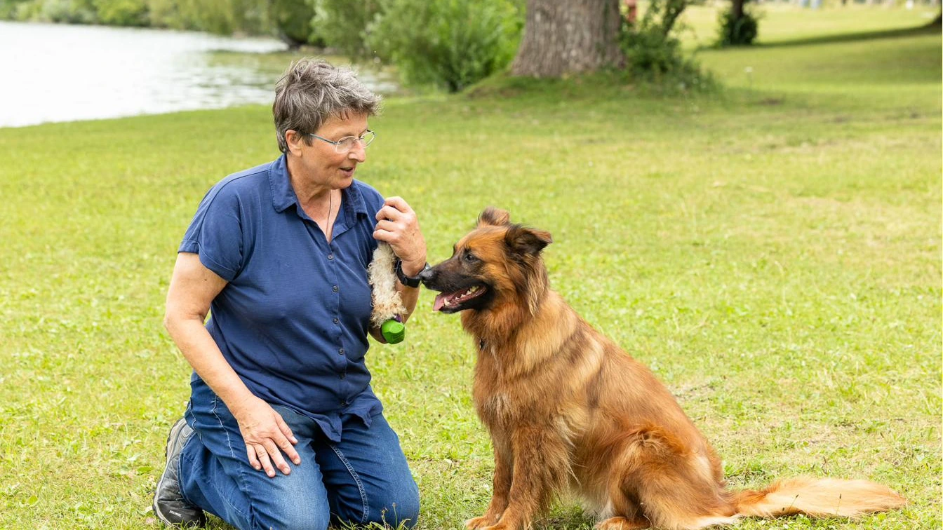 Hundetraining München: Münchner Waldweg im Frühlingslicht
