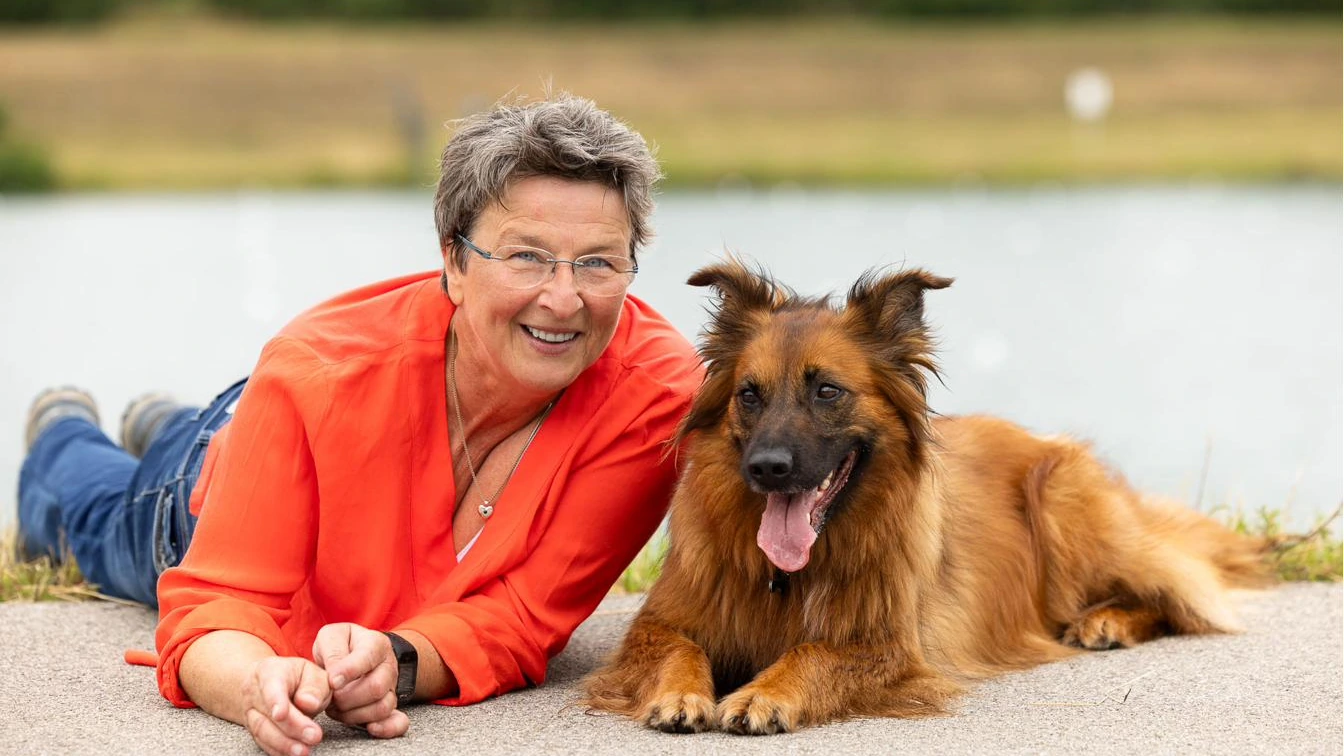 Hundetraining München: Pudel-Mischling auf Münchner Waldweg im Morgenlicht