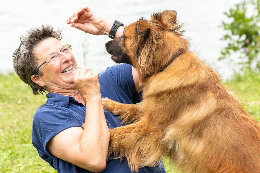 Hundetraining in der Maxvorstadt München – mobile Hundetrainerin